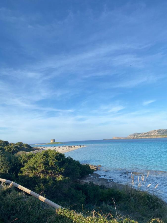 Coral Dream Apartman Alghero Kültér fotó